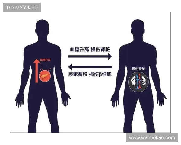 足球明星参与足彩是否合规探讨及其对职业生涯的影响分析